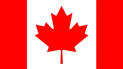 东契奇调侃：战罢身心疲惫，亟欲安睡