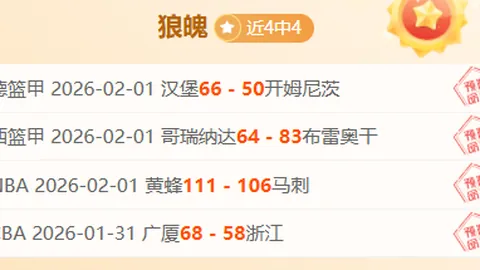 贝肯鲍尔：海纳倾心偶像；拜仁转型突破单一体育企业形象